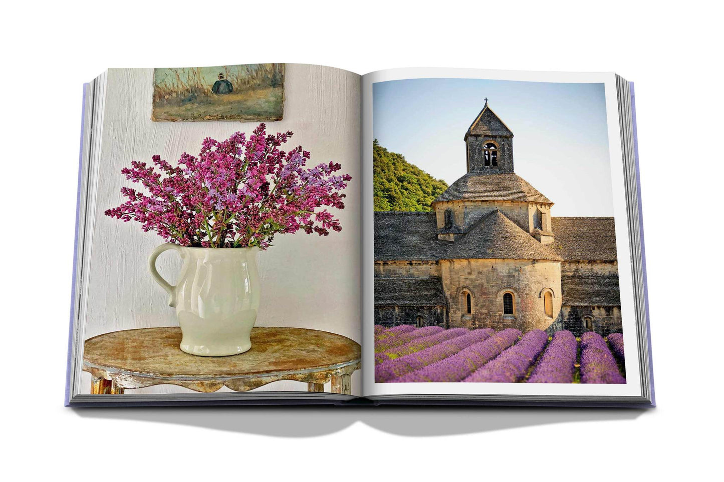 Buch zum Ruhm der Provence