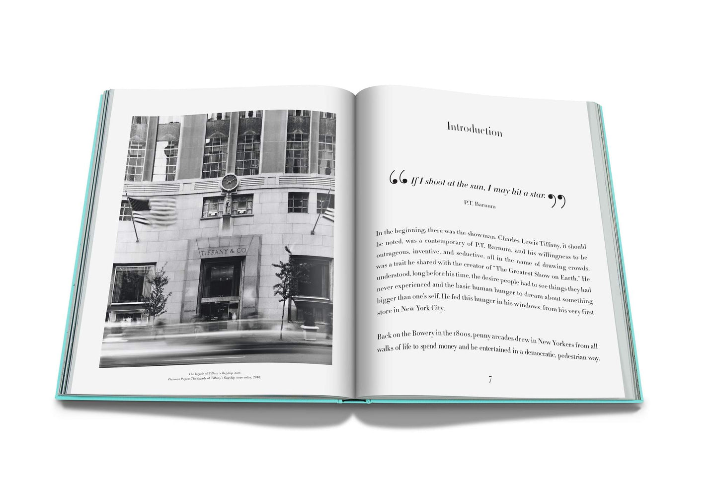 Livre Windows at Tiffany and Co.: Impossible Collection
