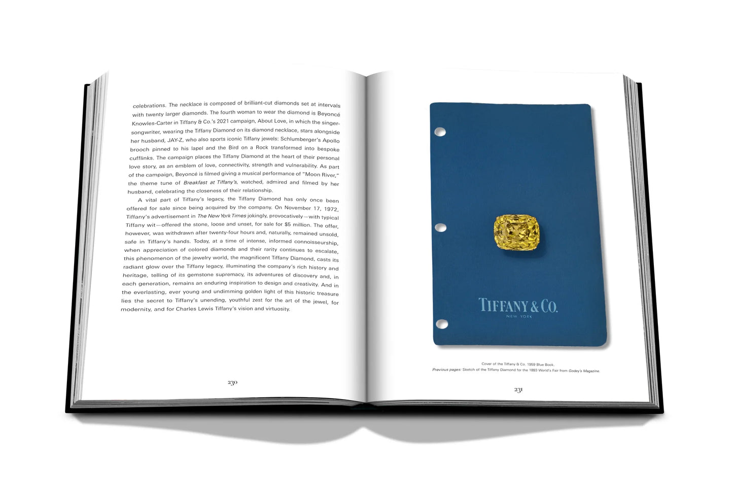 Book Tiffany & Co. Vision and Virtuosity (Ultimate Edition): Impossible Collection