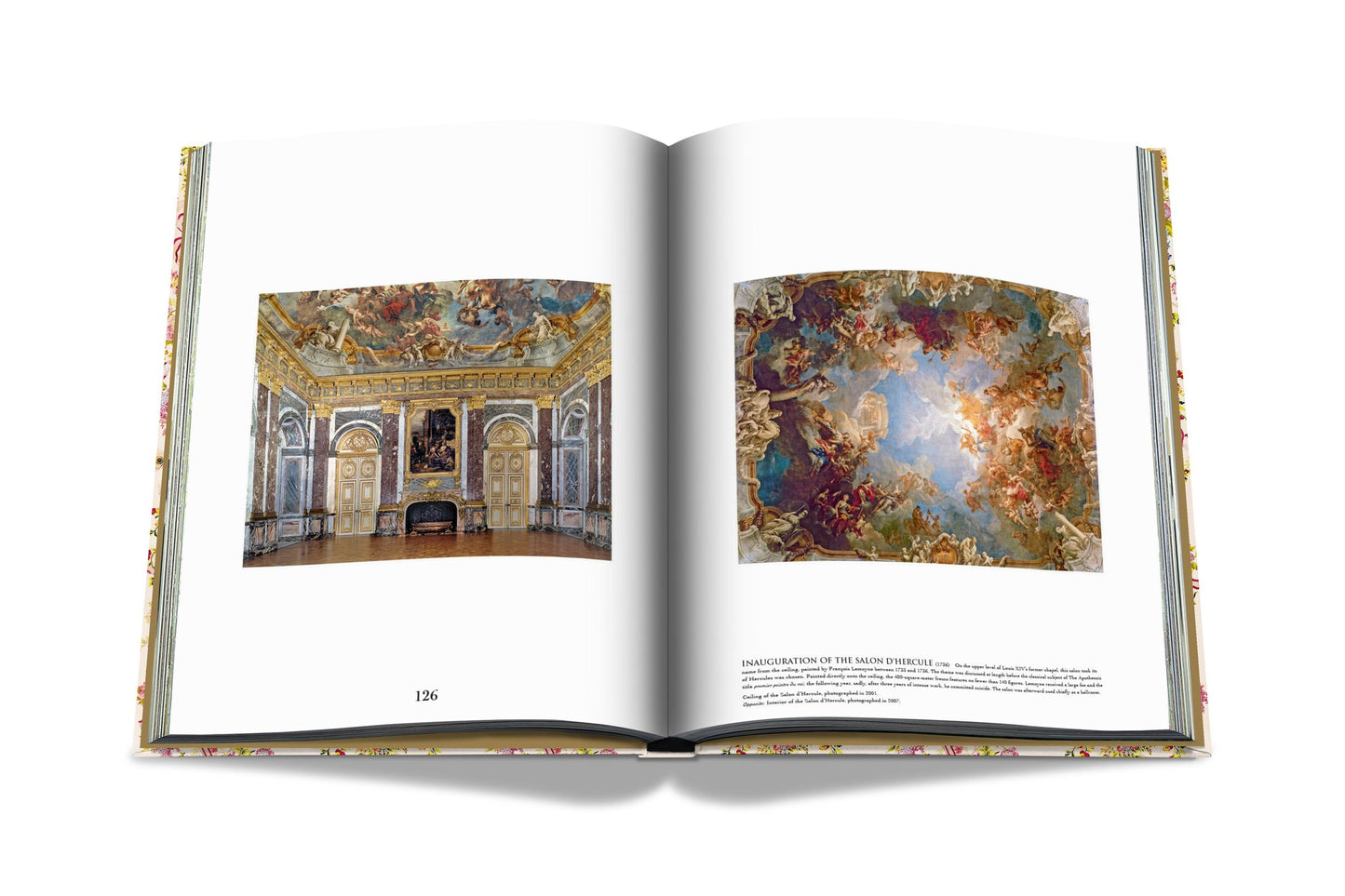 Buch Versailles – Von Ludwig XIV. bis Jeff Koons: Unmögliche Sammlung