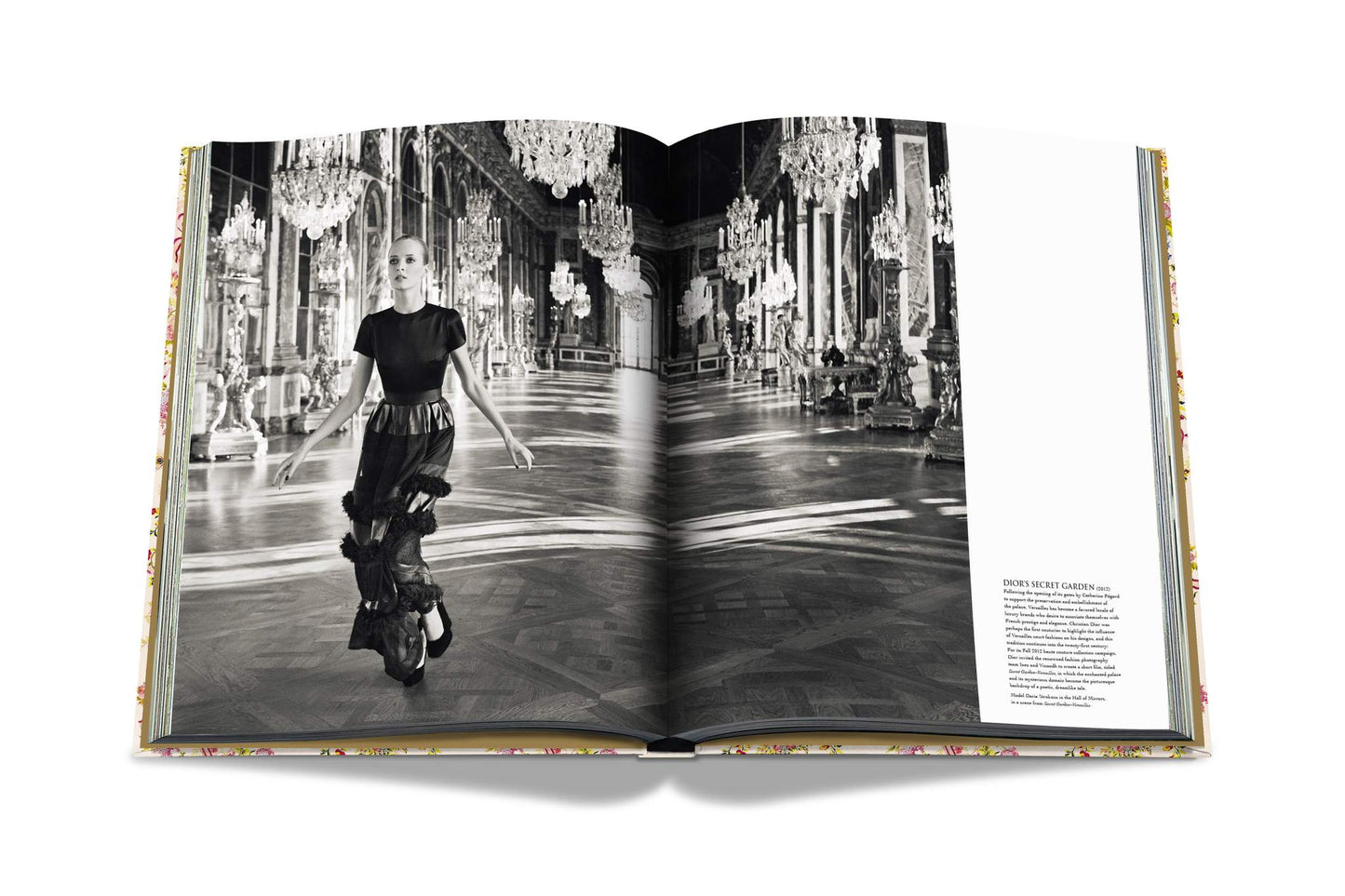 Buch Versailles – Von Ludwig XIV. bis Jeff Koons: Unmögliche Sammlung