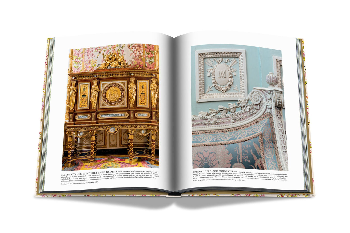 Buch Versailles – Von Ludwig XIV. bis Jeff Koons: Unmögliche Sammlung