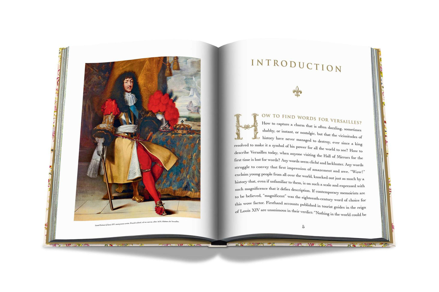 Buch Versailles – Von Ludwig XIV. bis Jeff Koons: Unmögliche Sammlung