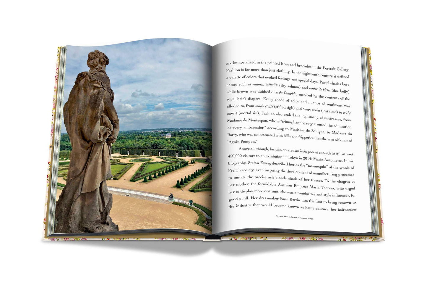 Buch Versailles – Von Ludwig XIV. bis Jeff Koons: Unmögliche Sammlung