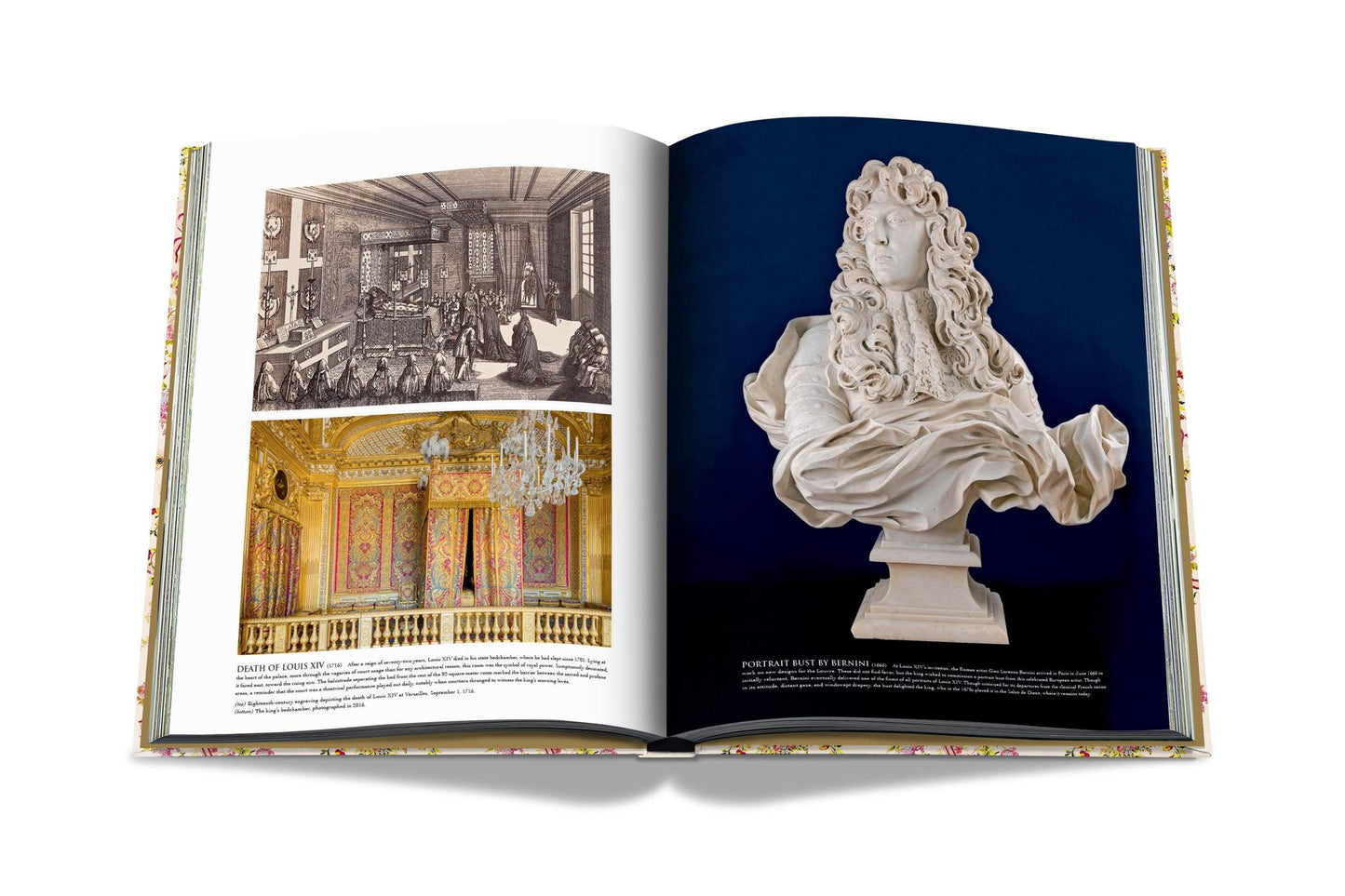 Buch Versailles – Von Ludwig XIV. bis Jeff Koons: Unmögliche Sammlung