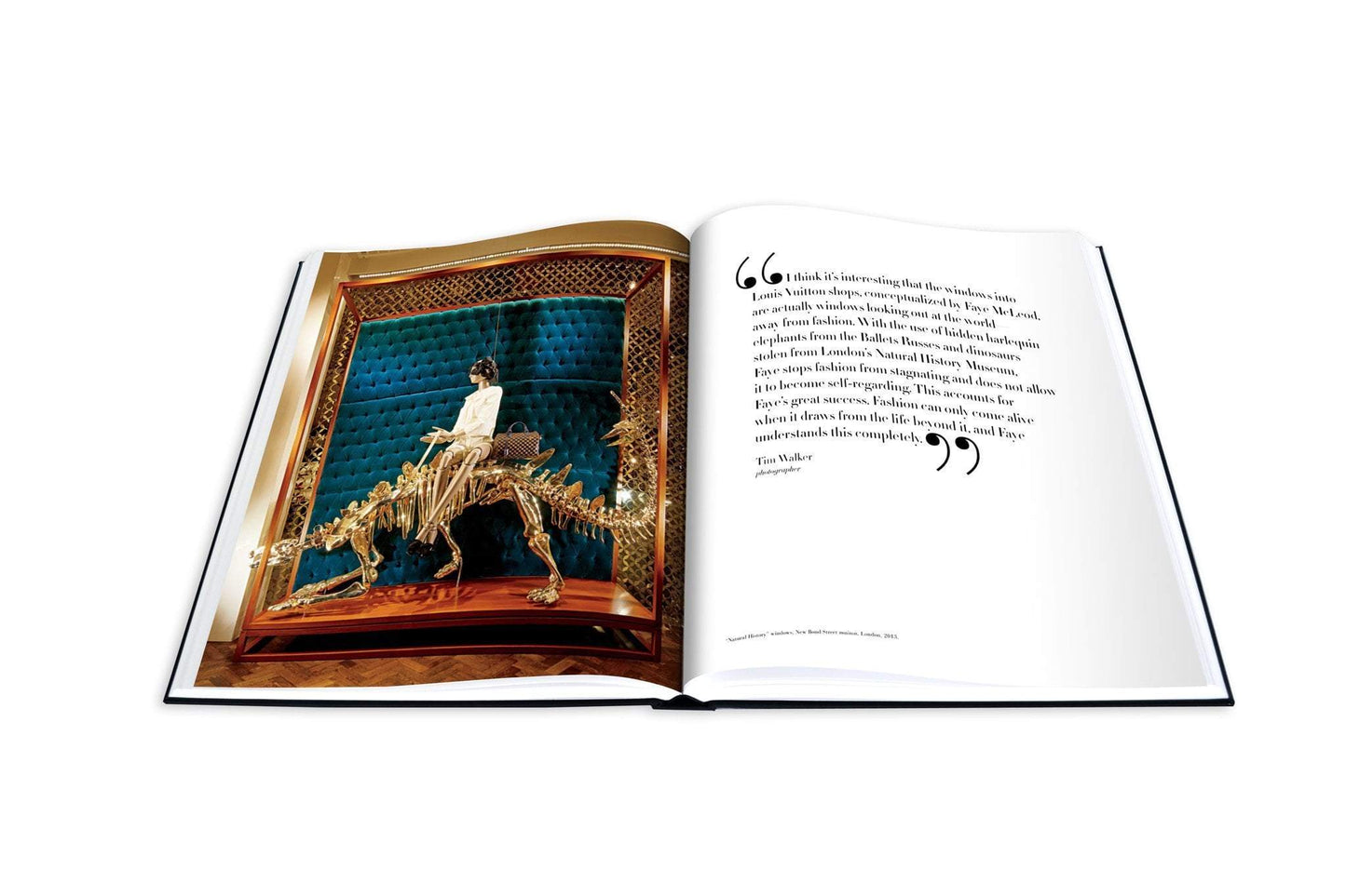 Livre Louis Vuitton Windows: Impossible Collection