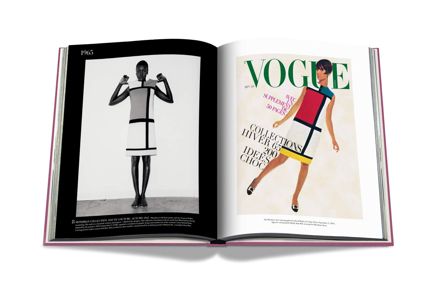Buch Yves Saint Laurent: Unmögliche Sammlung
