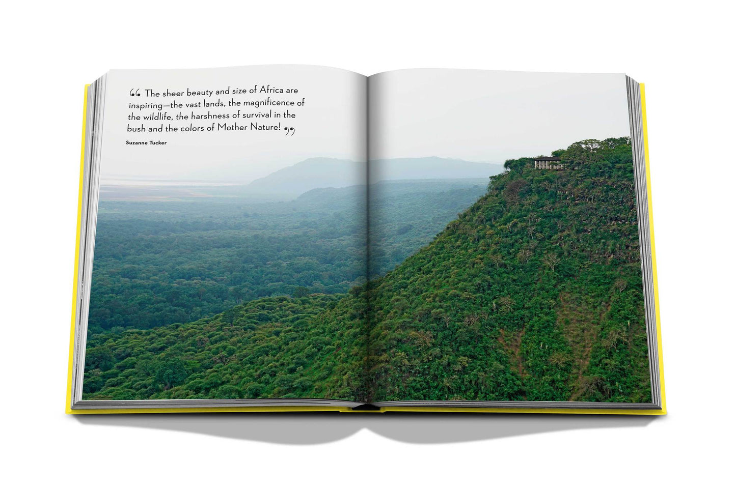 Buchen Sie Travel by Design