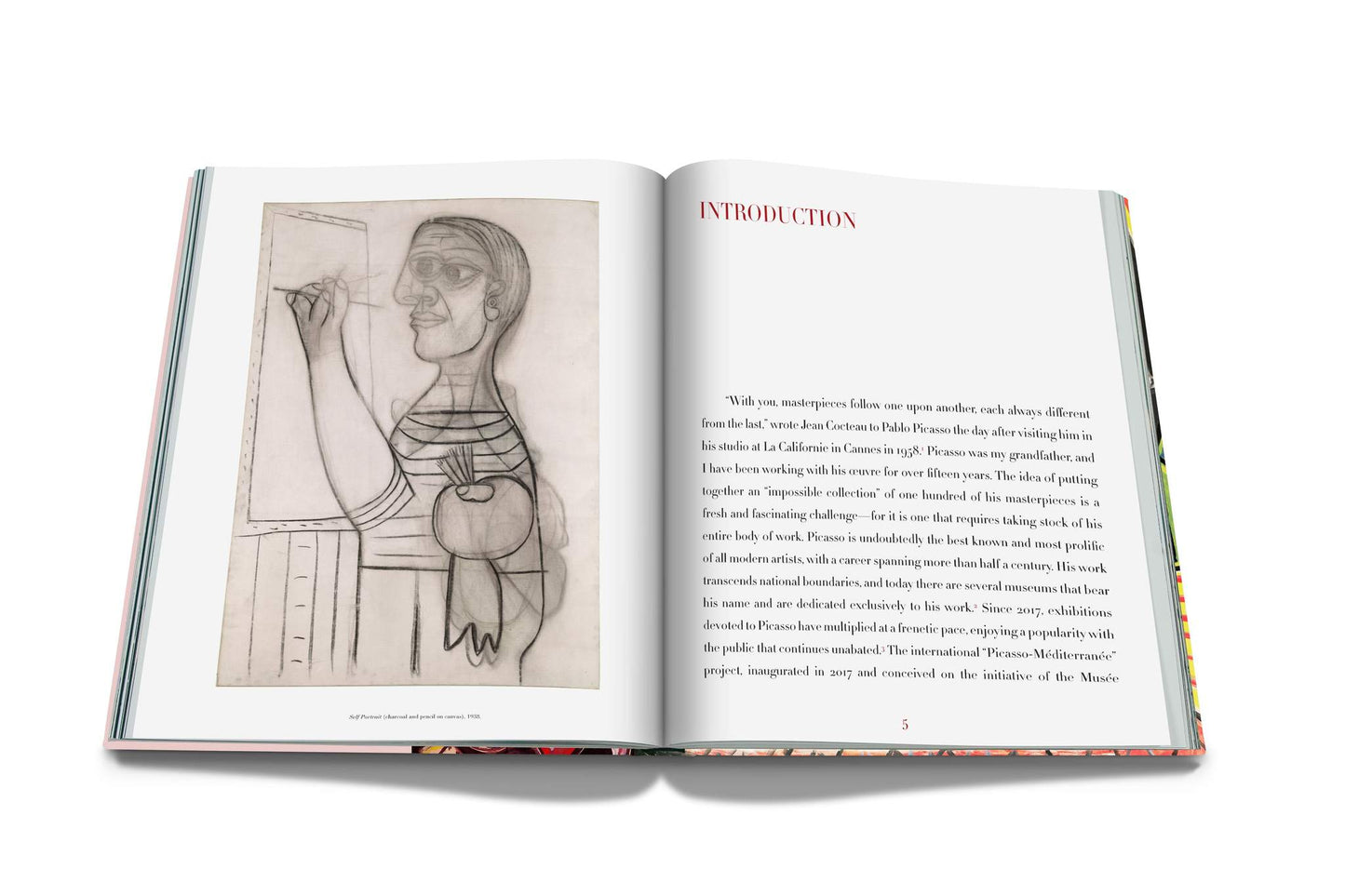 Book Pablo Picasso: Impossible collection