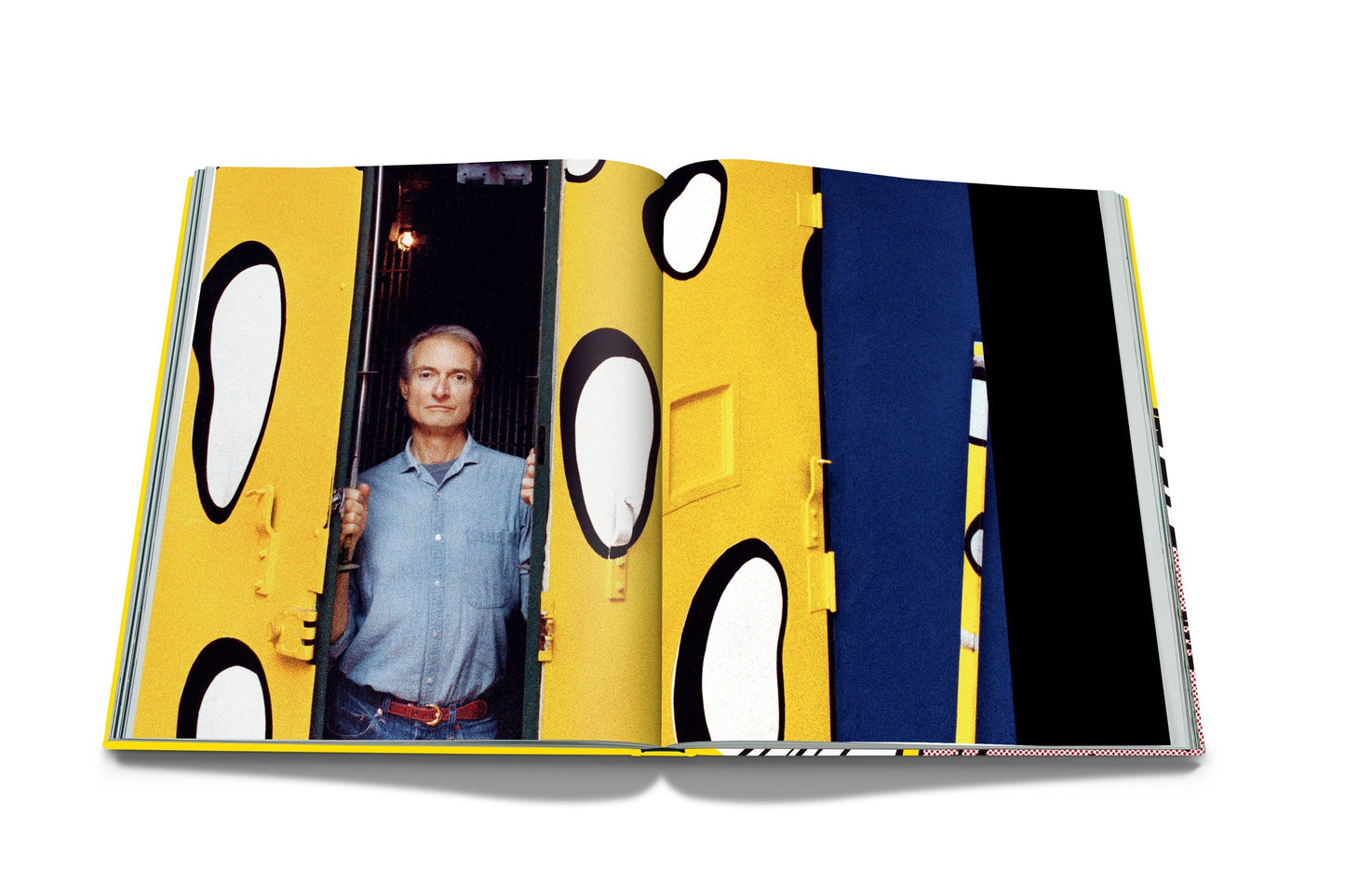 Book Roy Lichtenstein: Impossible collection
