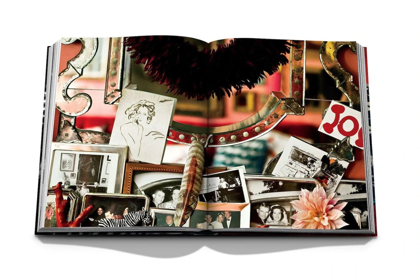Livre The Big Book of Chic
