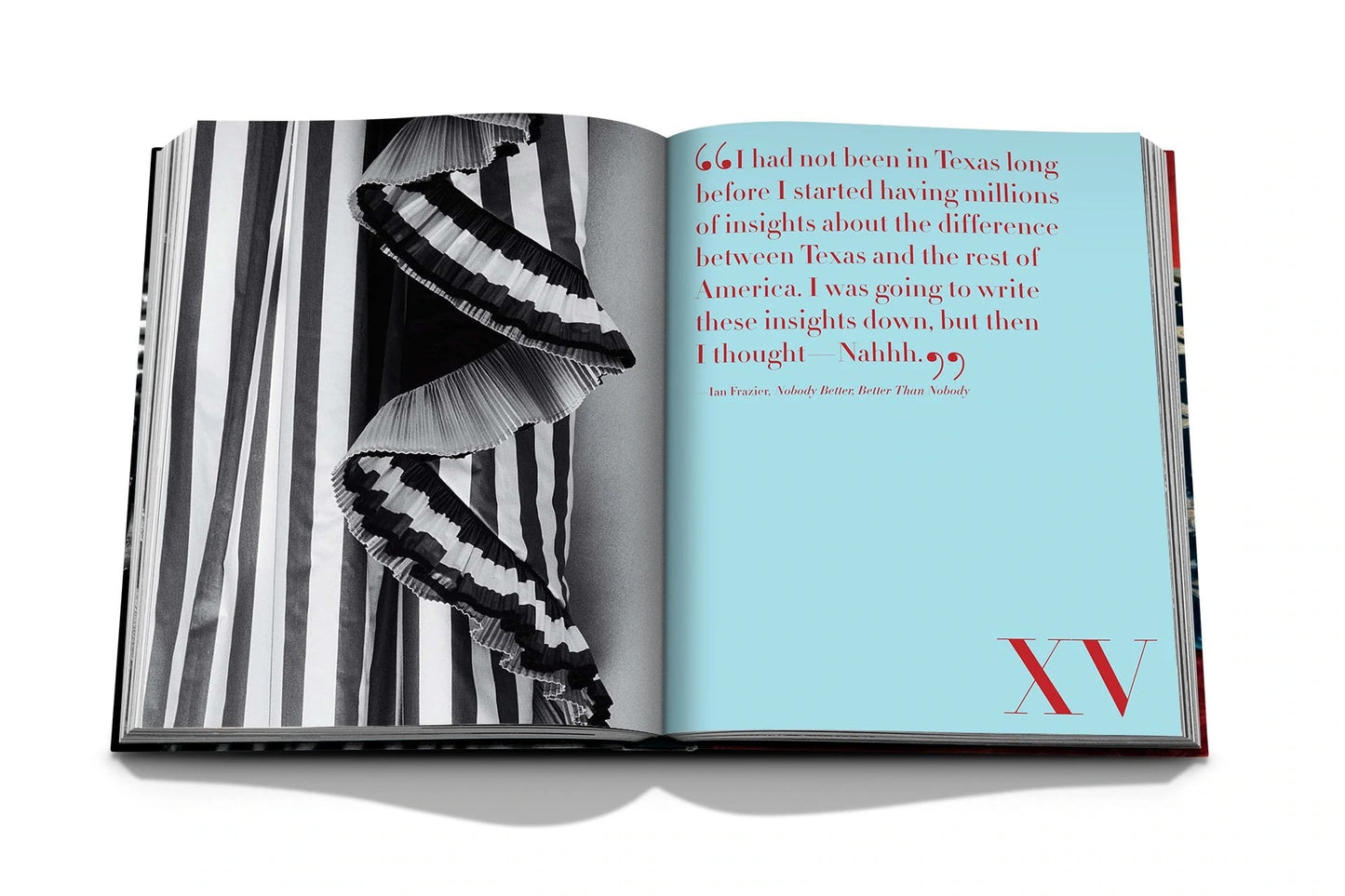 Livre The Big Book of Chic
